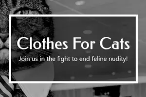 Grayscale photo of a cat wearing a necktie